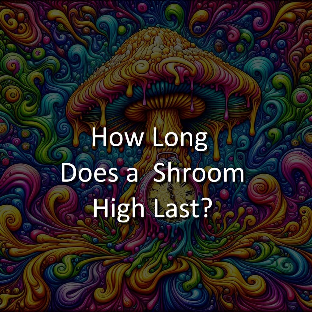 Do magic mushrooms go bad